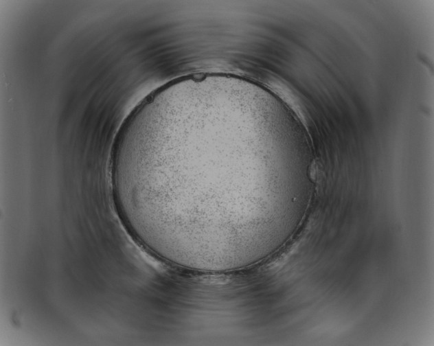 X0000098091141200804251249