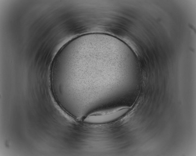 X0000098091142200804251249