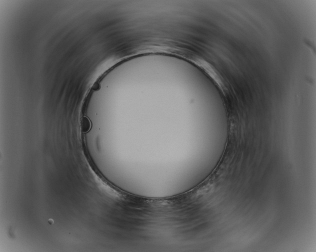 X0000098091143200804251249