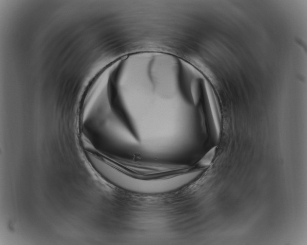 X0000098091144200804251249