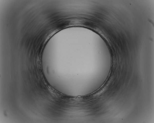 X0000098091145200804251249