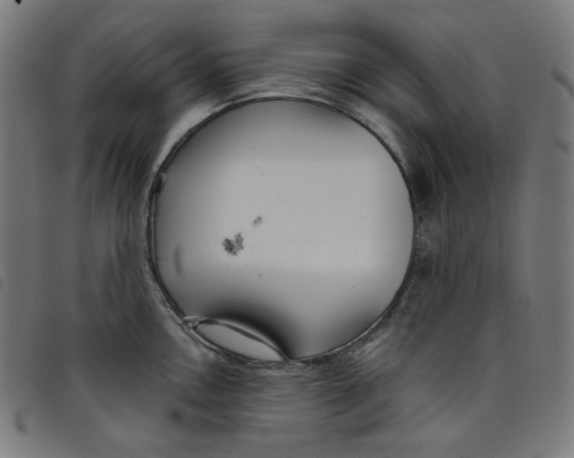 X0000098091146200804251249