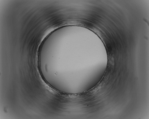 X0000098091147200804251249