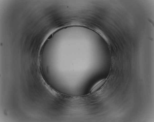 X0000098091148200804251249