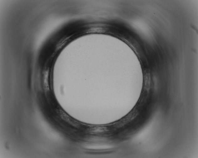 X0000098091150200804251249