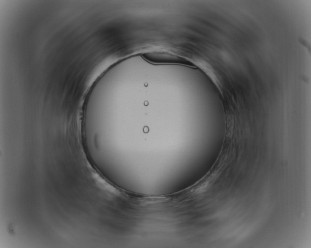 X0000098091151200804251249