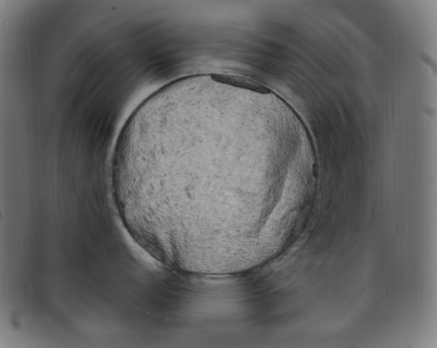 X0000098091152200804251249