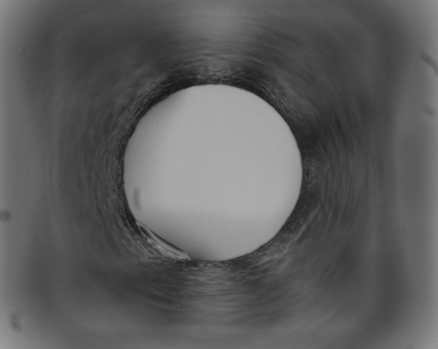 X0000098091153200804251248