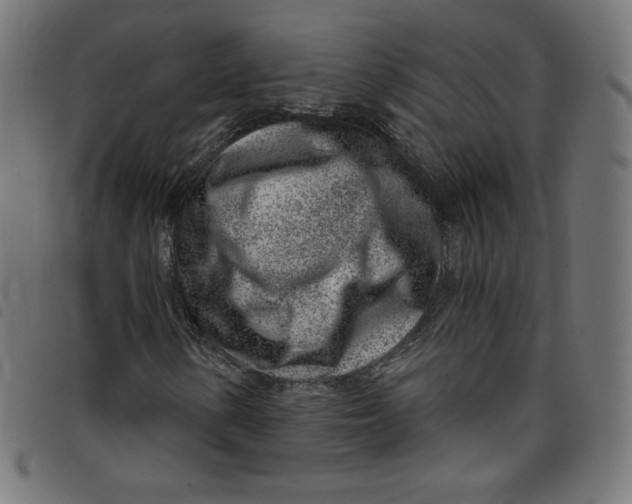 X0000098091154200804251248