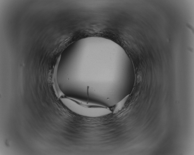 X0000098091156200804251248