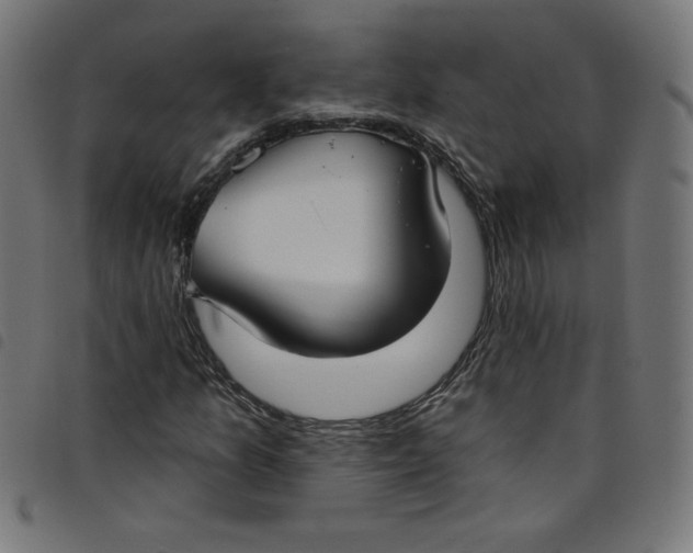 X0000098091157200804251248