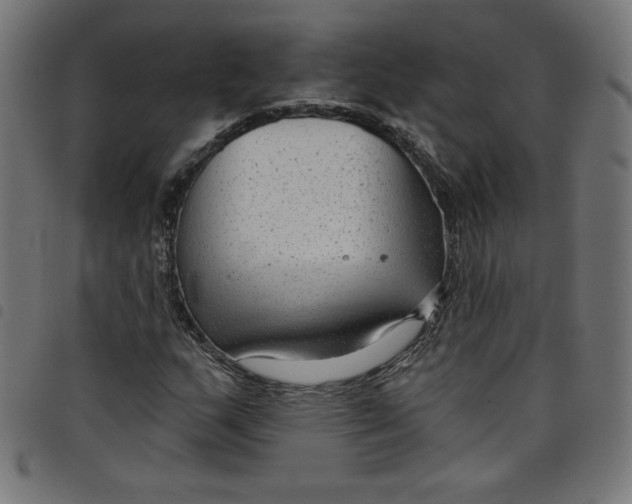 X0000098091159200804251248