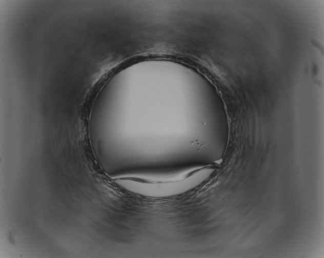 X0000098091160200804251248