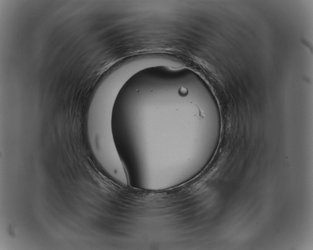 X0000098091161200804251248
