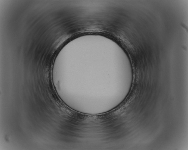 X0000098091162200804251248