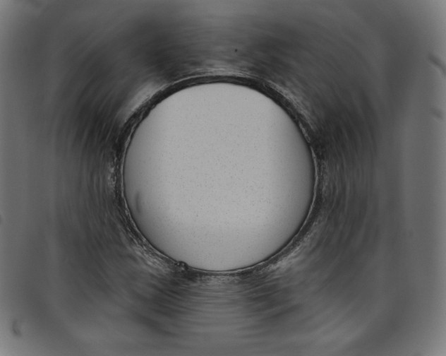 X0000098091163200804251248