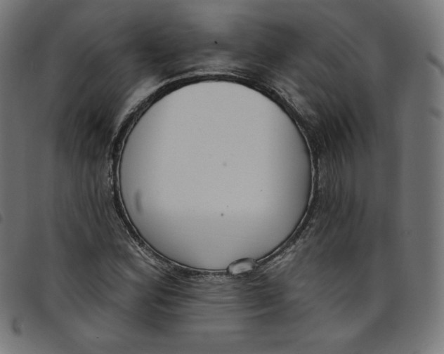 X0000098091164200804251248