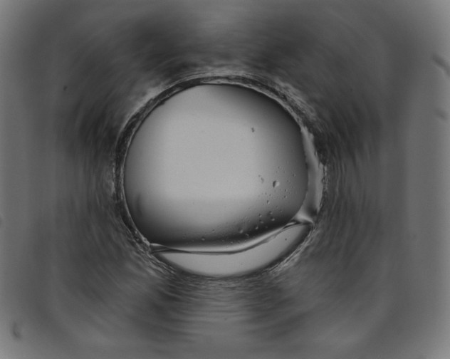 X0000098091165200804251248