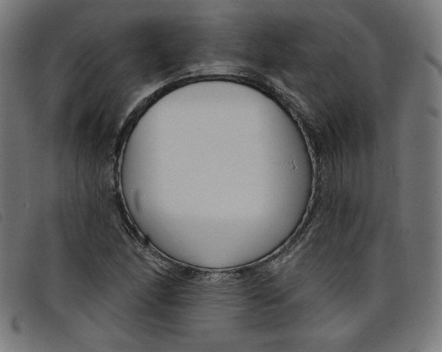 X0000098091166200804251248