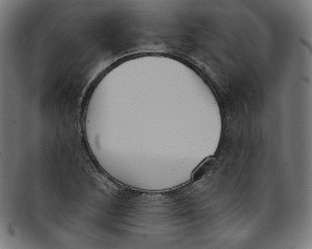 X0000098091168200804251248