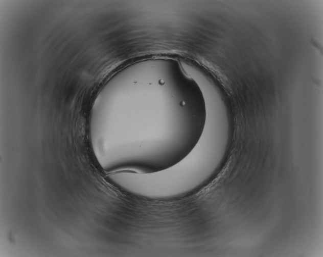 X0000098091169200804251248