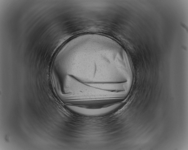 X0000098091170200804251248