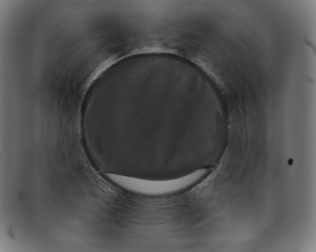 X0000098091173200804251248