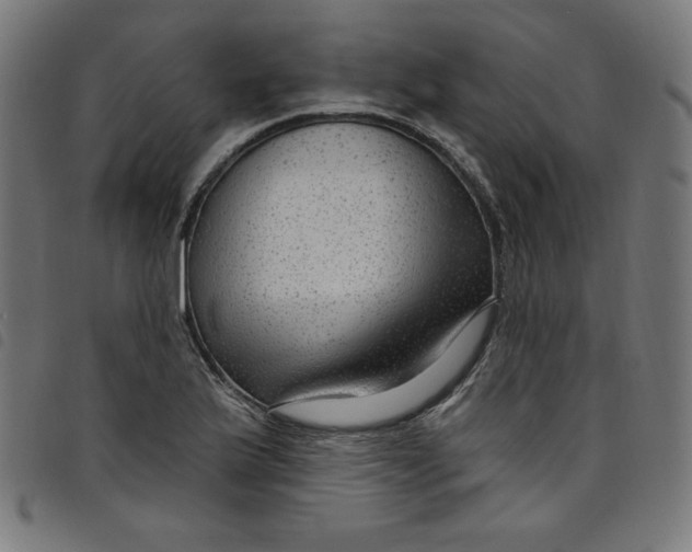X0000098091175200804251248