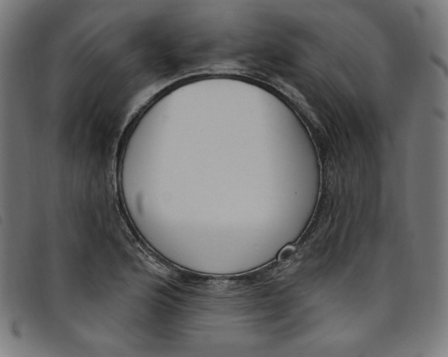 X0000098091176200804251248