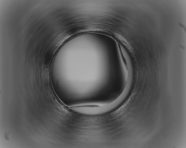 X0000098091177200804251248