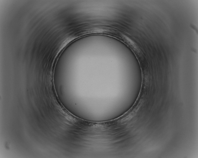 X0000098091178200804251248