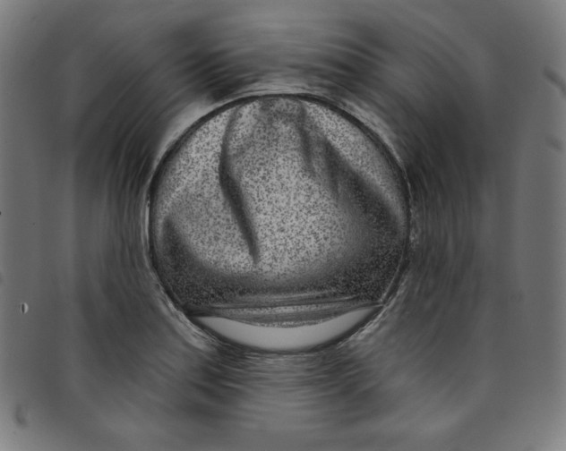 X0000098091179200804251248
