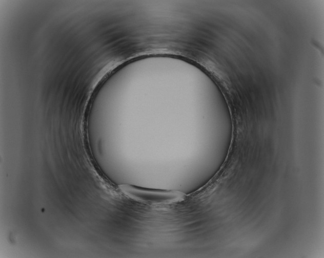 X0000098091181200804251248