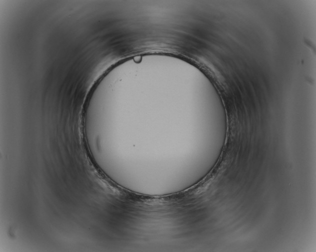 X0000098091182200804251248