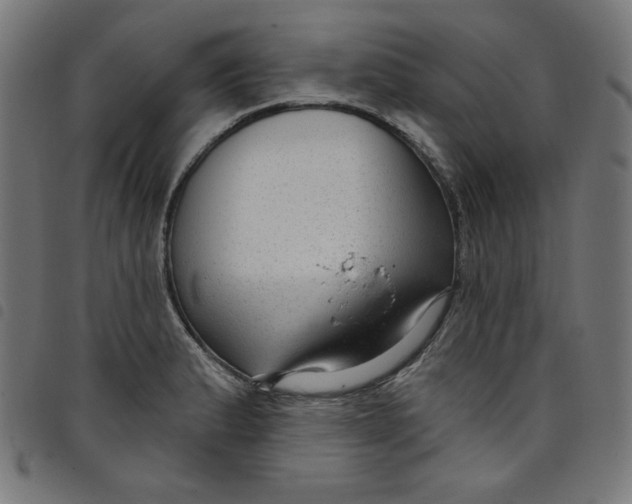 X0000098091183200804251248