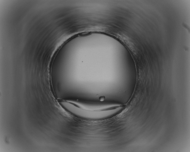 X0000098091184200804251248