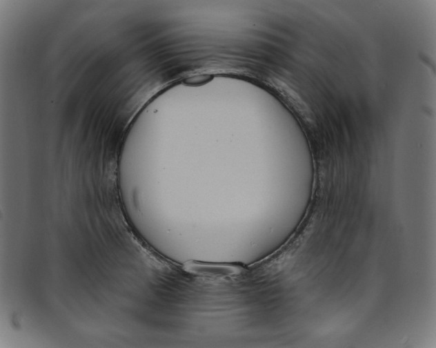 X0000098091185200804251248