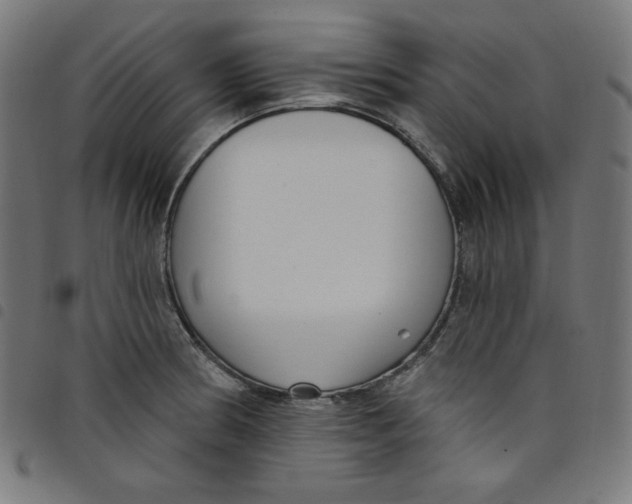 X0000098091186200804251247