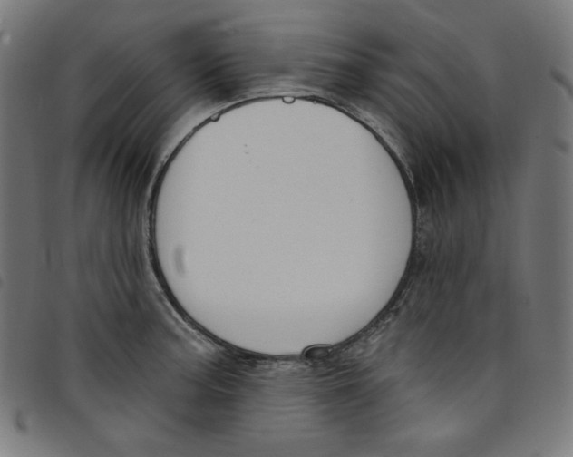 X0000098091187200804251247
