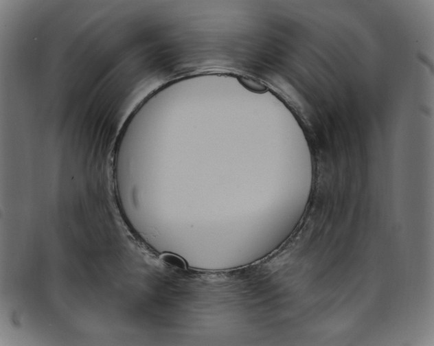 X0000098091190200804251247