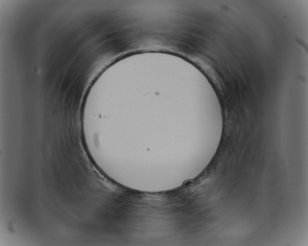 X0000098091191200804251247