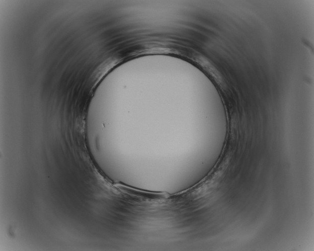 X0000098091193200804251247