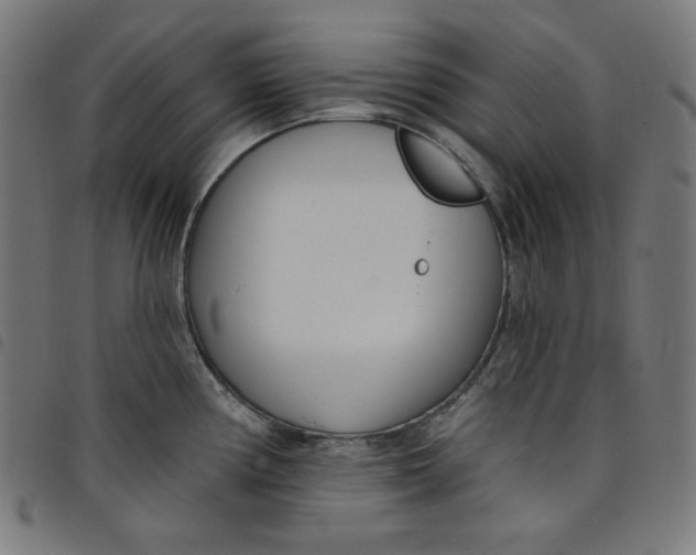 X0000098091194200804251247