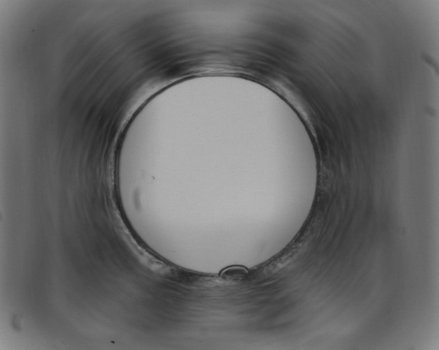 X0000098091195200804251247