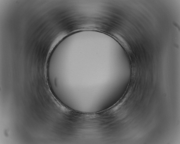 X0000098091196200804251247
