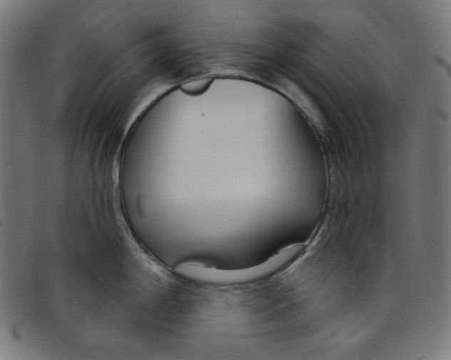 X0000098091198200804251247