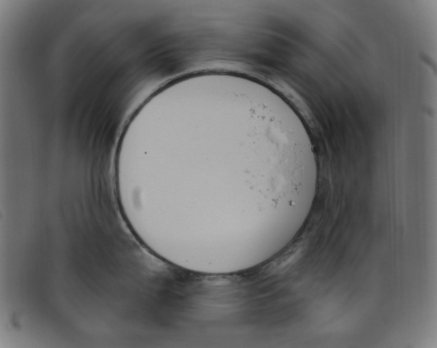 X0000098091199200804251247