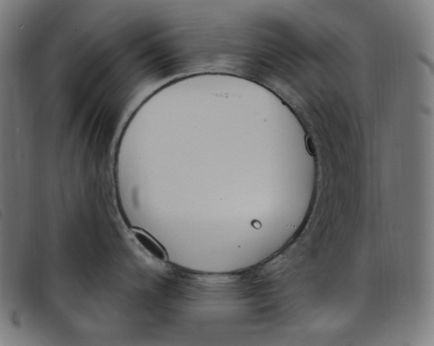 X0000098091200200804251247