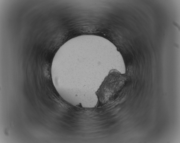 X0000098091202200804251247