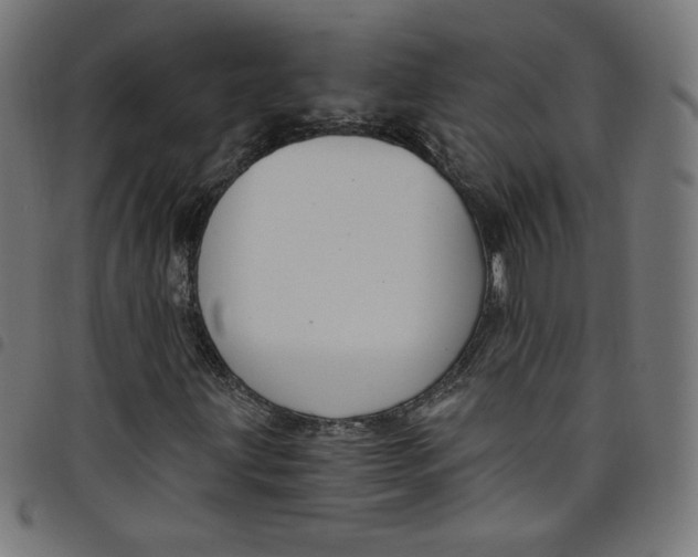 X0000098091203200804251247